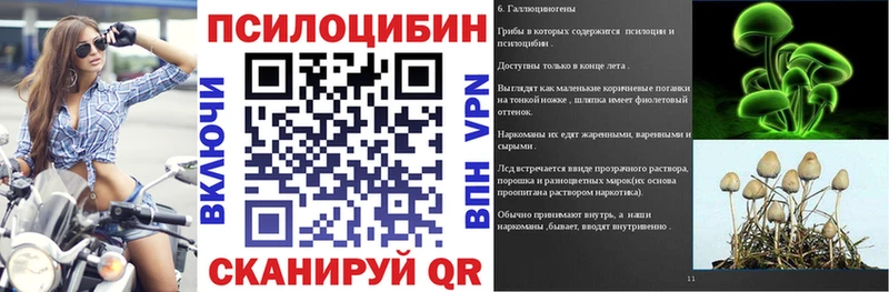 Псилоцибиновые грибы Psilocybe  купить наркотик  Артёмовский 